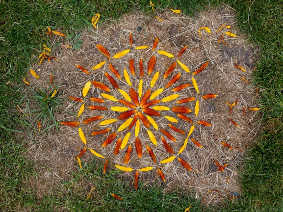 Réalisation de Land Art sur l'herbe avec des pétales de fleurs