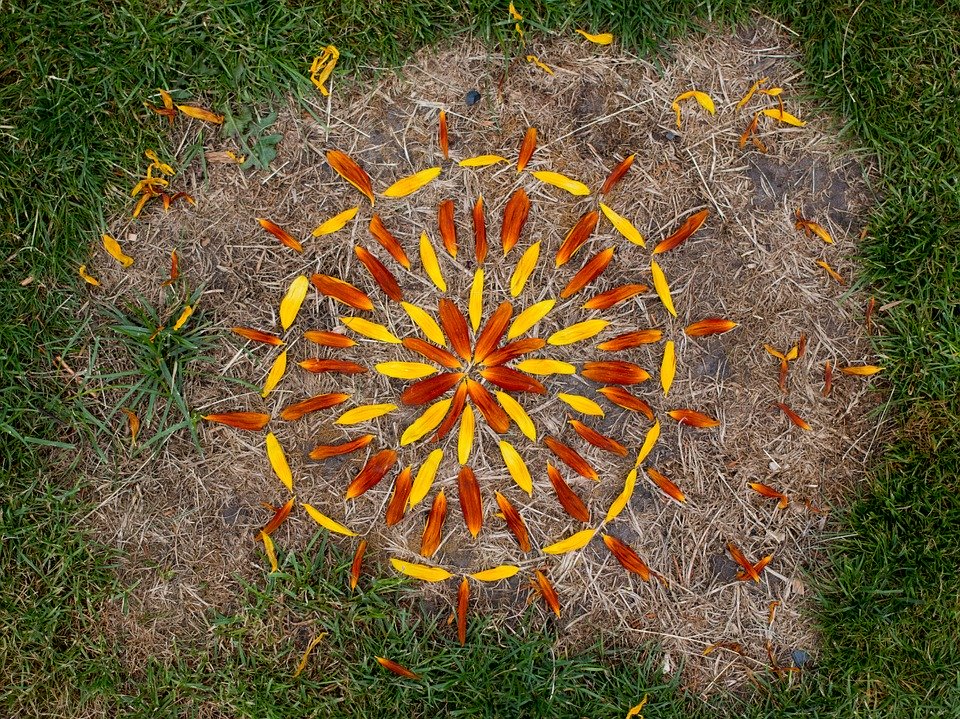 Réalisation de Land Art sur l'herbe avec des pétales de fleurs