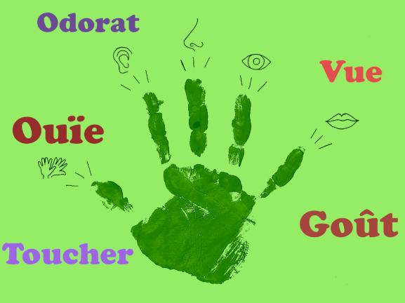 Empreinte de main en peinture illustrant les 5 sens de l'enfant