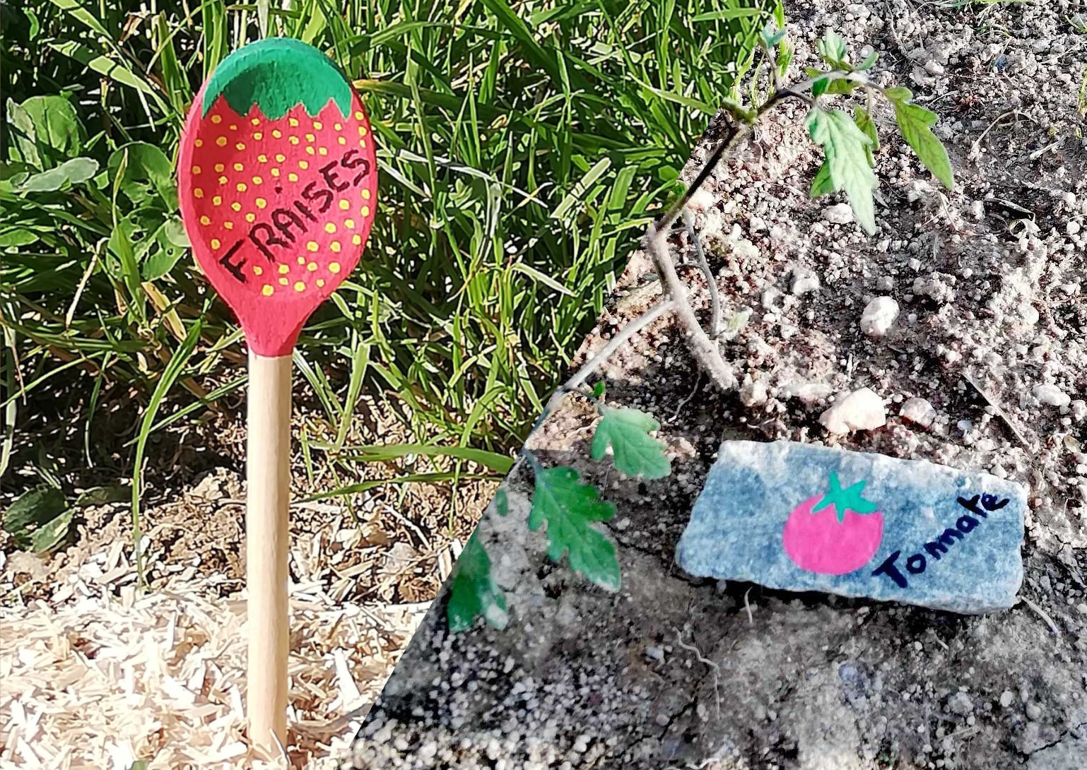 Exemples de marqueurs potager fait maison
